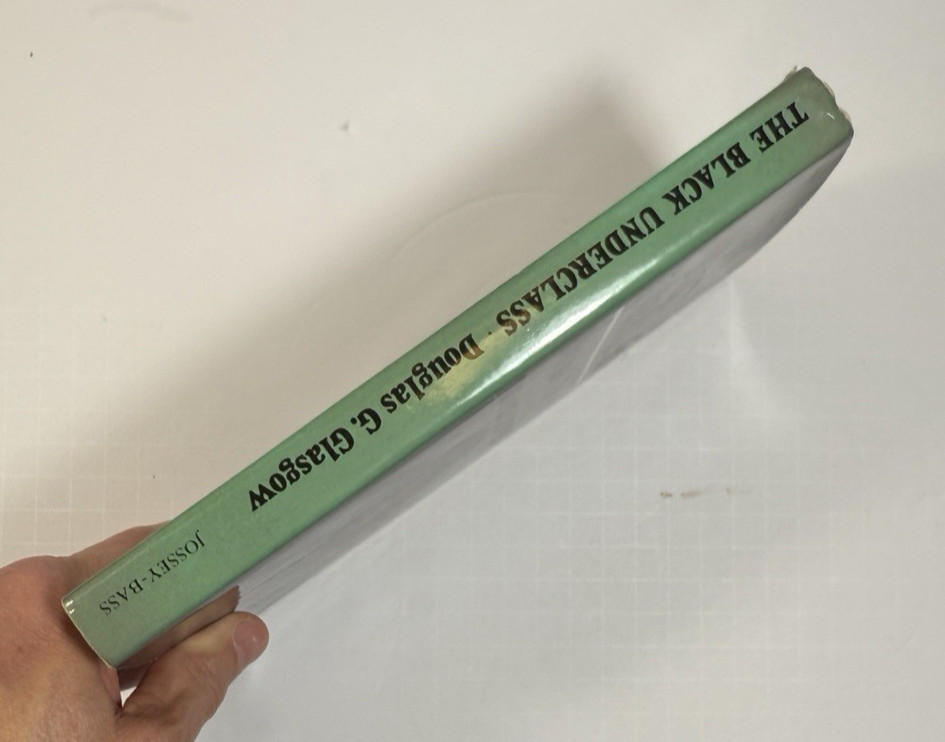 The Black Underclass: Poverty, Unemployment, and Entrapment of Ghetto Youth HCDJ - Image 7