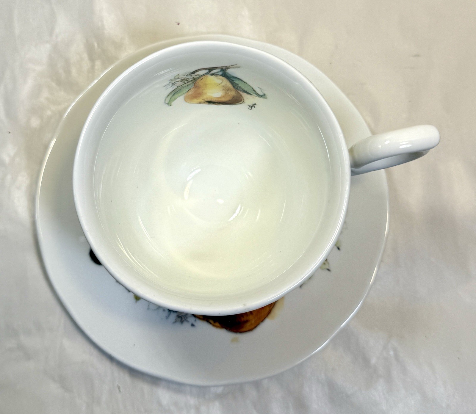 Duchess Bone China Pear / Fruit / Berry Tea Cup and Saucer - Mint, Immaculate - Image 3