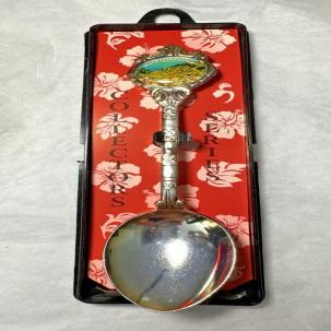 Vintage Collector Souvenir Spoon Hawaii - Kalalau Valley - Kauaʻi - Stuart